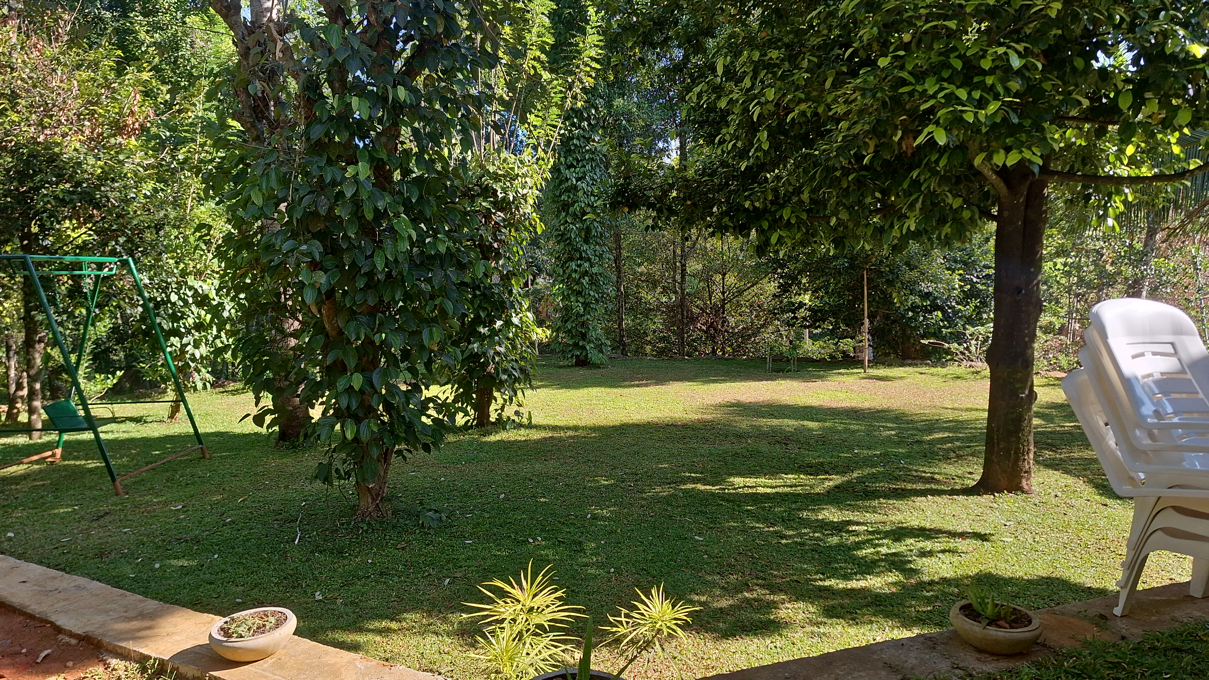 Organic garden at Dawn Retreat