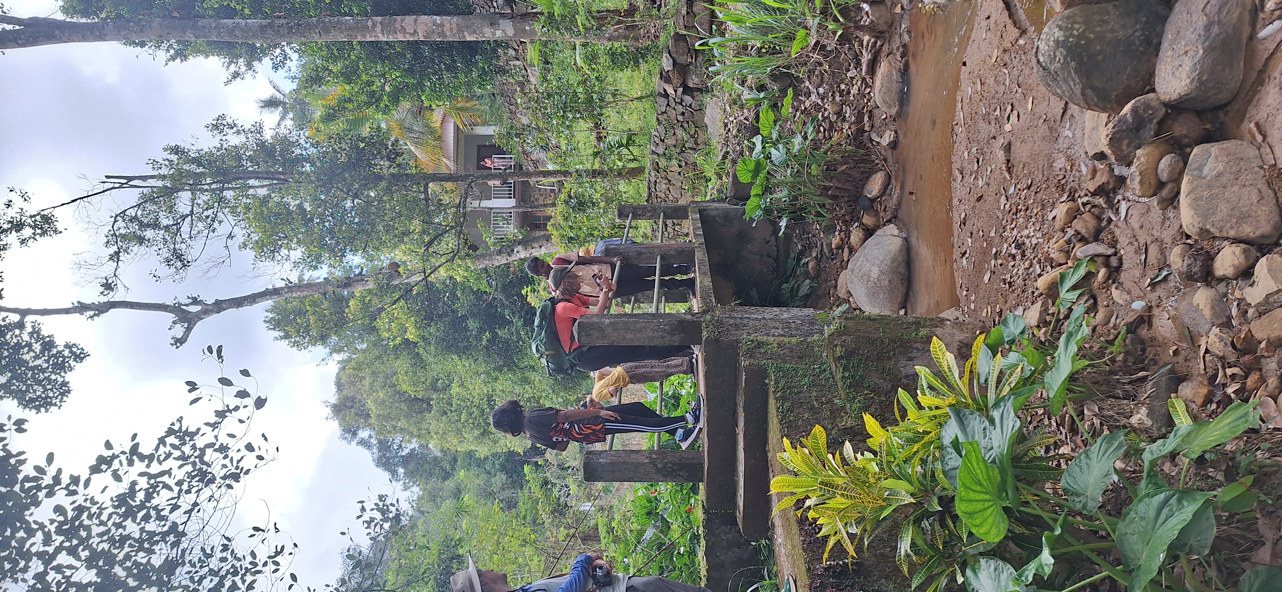 Hiking trails near Dawn Retreat