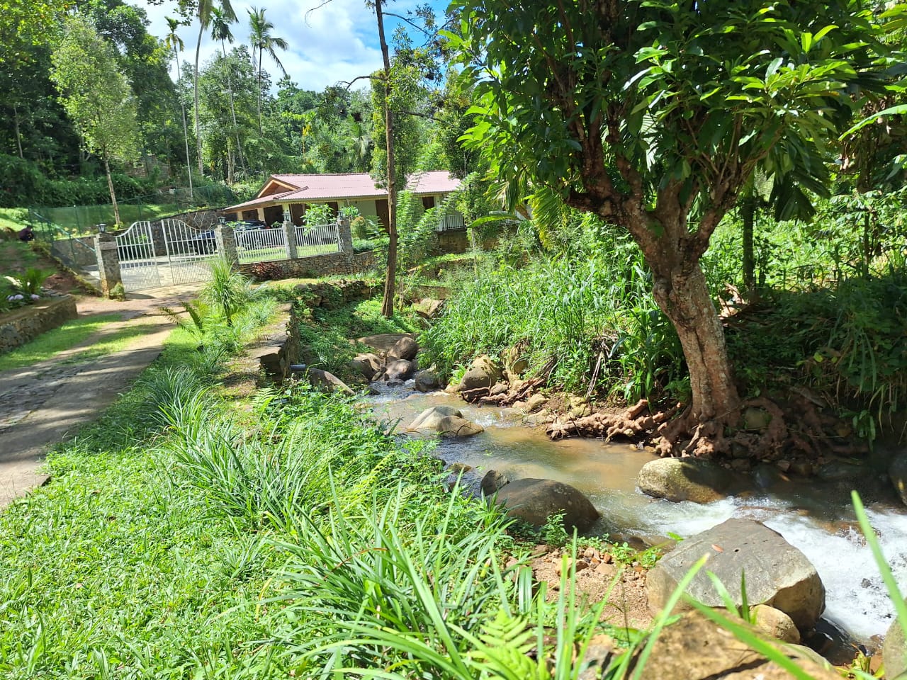 Interior details and artifacts